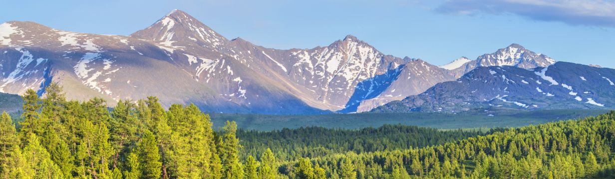 Отели Алтайского Края