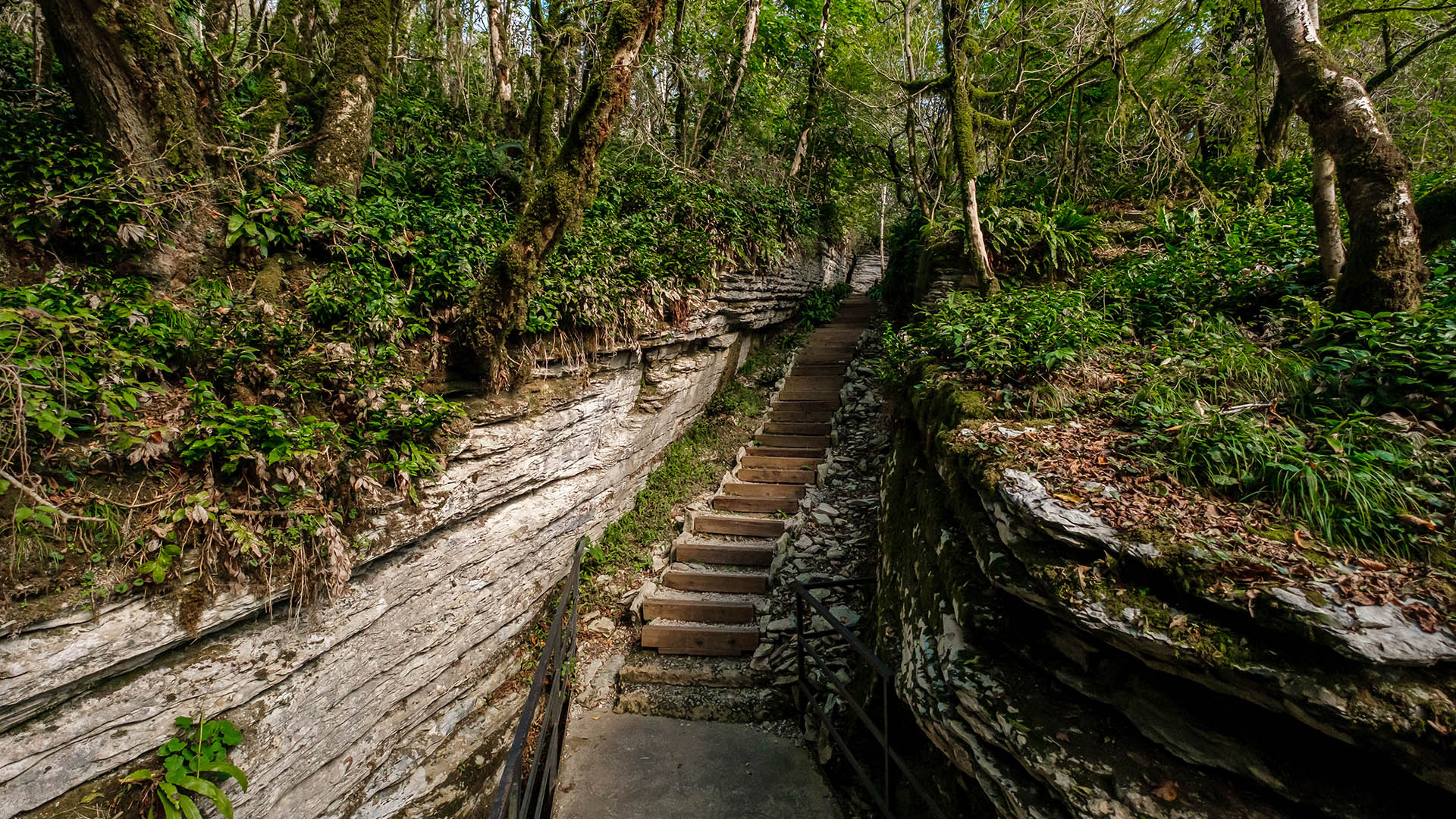 slide image