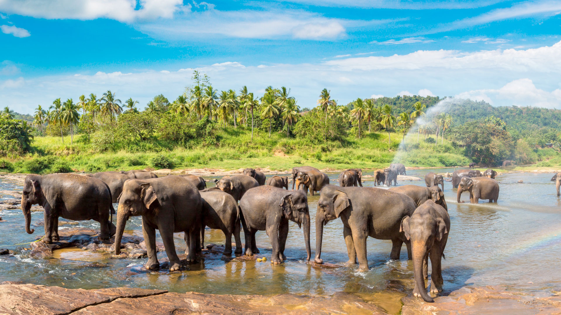 Необыкновенная Шри-Ланка (Highlight of Sri Lanka) 3*